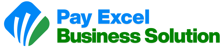 Pay Excel Business Solution Logo